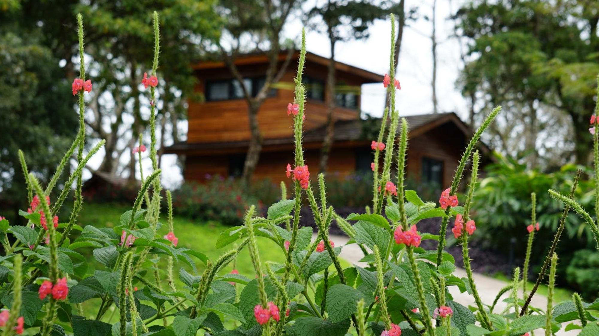 בוקט Lucero Golf And Country Club Tree Houses מראה חיצוני תמונה